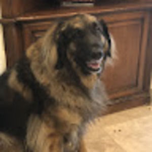 Meet your Posher, Jessi